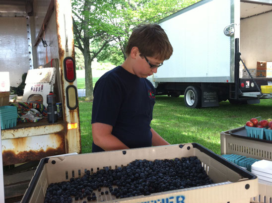 Sorting a crate of blueberries at the farm stand