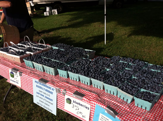 Pints of blueberries on a red checked tablecloth