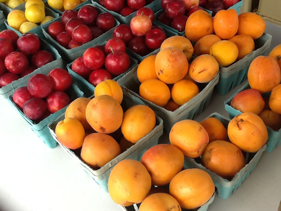 Quart baskets of plums and apricots